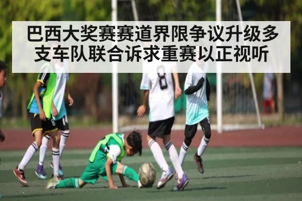巴西大奖赛赛道界限争议升级多支车队联合诉求重赛以正视听